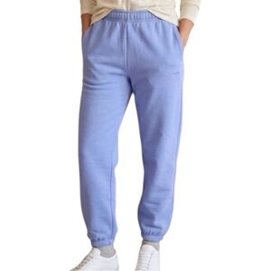Aritzia Mega Fleece Sweatpants Dayflower Blue XS Oversized
II